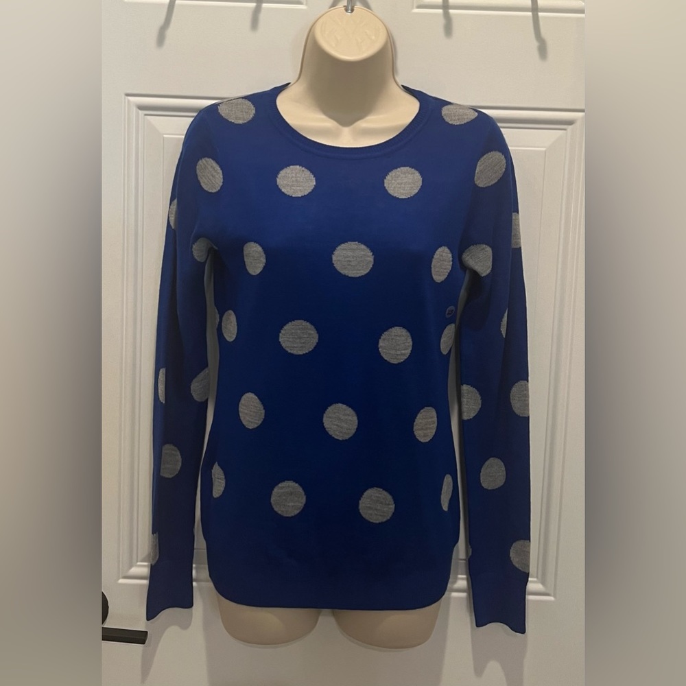NWT! The Limited Online Exclusive Blue and Grey Dot Sweater-XS